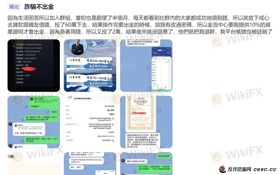 华人外汇圈再现“杀猪盘”，大批“东方”鲜韭正被送往「赛博屠宰场」