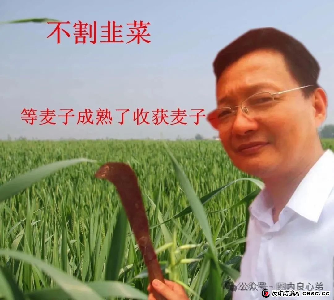 DGCX交易所，购买大量水军，消除市场舆论信息，快要收割，准备跑路。